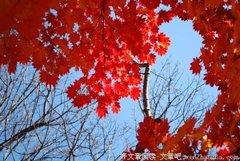 山道的阴霾