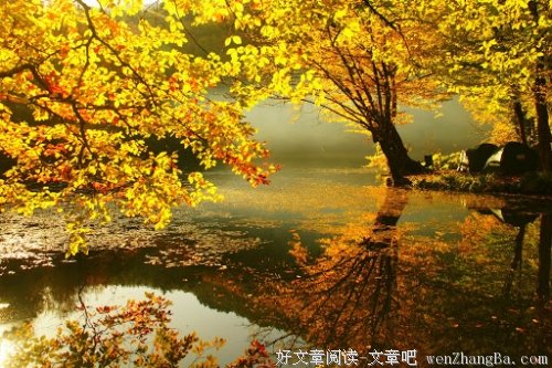 喝茶时光