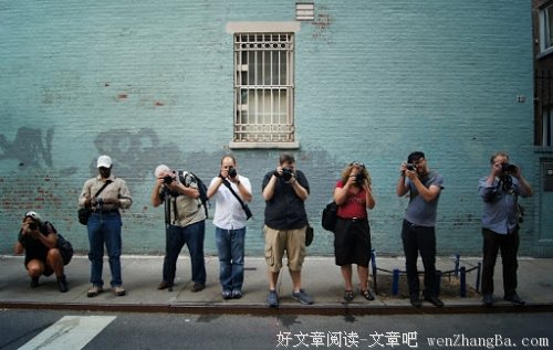 白鹭