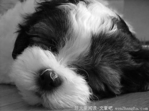 再也没有人会等我了