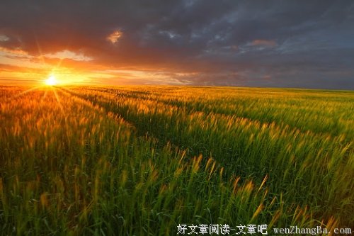 闲的