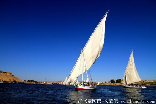 大雁南飞是秋去 山花烂漫是春来