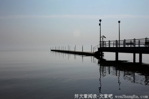 你说我不懂你