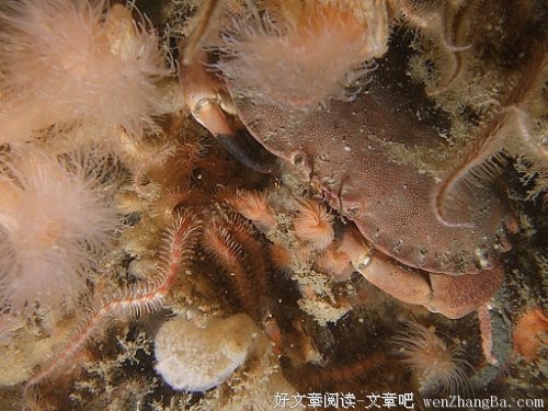 从侧面认识自己