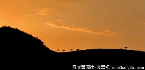 心随梦灭