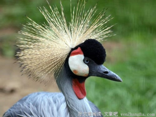 人为了什么