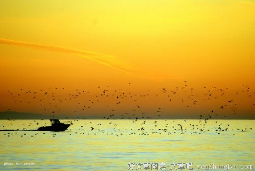 你叫我一声兄弟，我竟无以为报