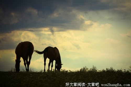 勿忘泪殇