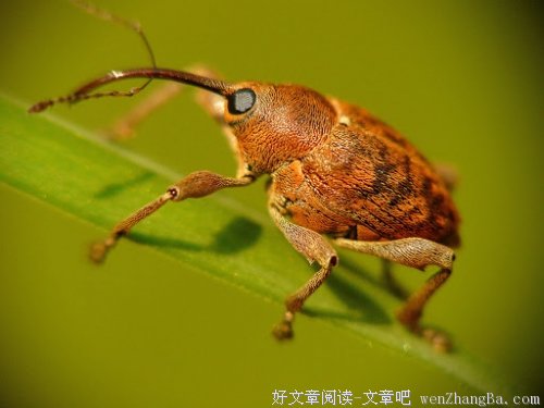 我想我们迟早会分手