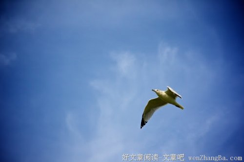 七年 我们没能走过