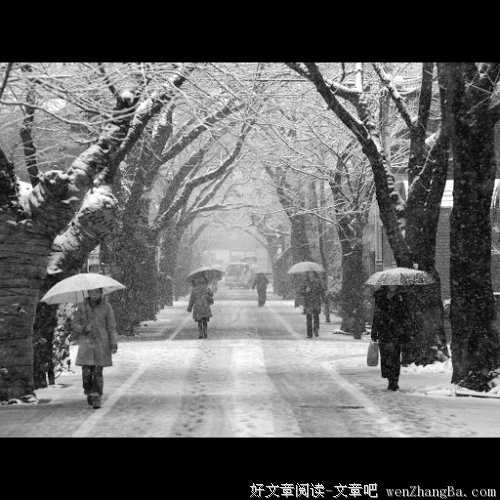 垣中学子鲍子巍之祭文