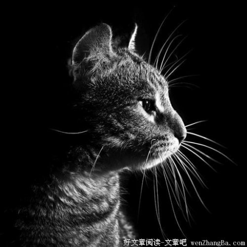 我的消失愿你幸福、快乐。。。。