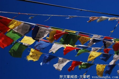 孤独久了，是否就真的不想恋爱？