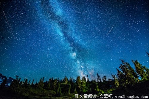 有情人的情人节没人陪