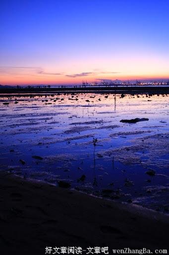 平淡背影