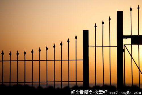 谁说大龄青年不会爱