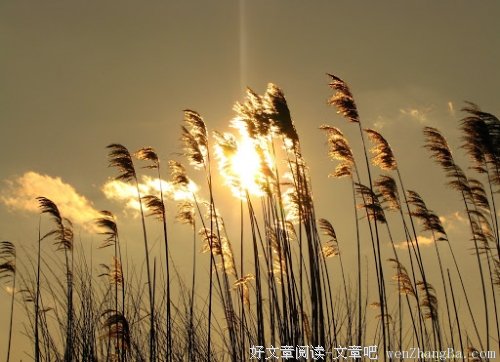 那一指温情 只在梦中