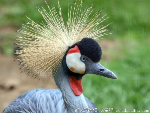 深圳，这座城