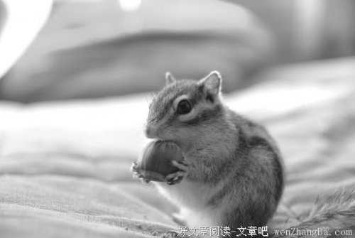 我对自己的分析