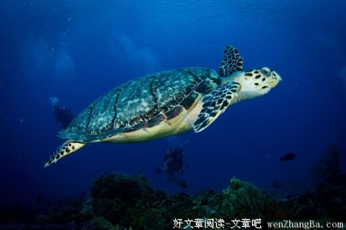 默契