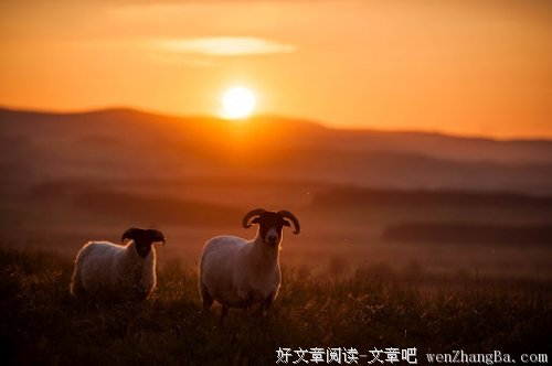 闲言碎语。