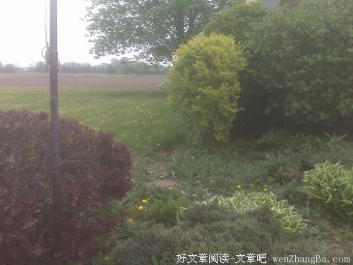 摘柚子
