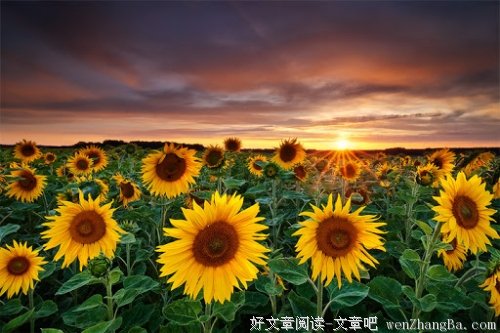 我，就是我