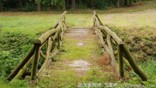 等待 晴天里的你