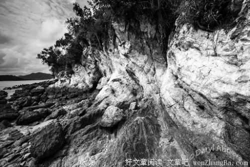 伤《告别薇安》