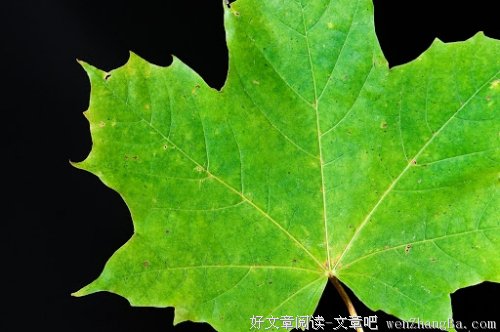 昨天 今天 明天