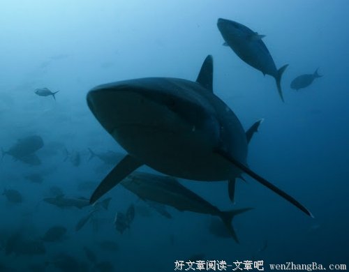 别在意