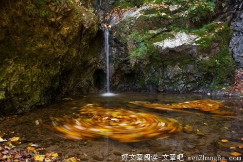 因为爱情