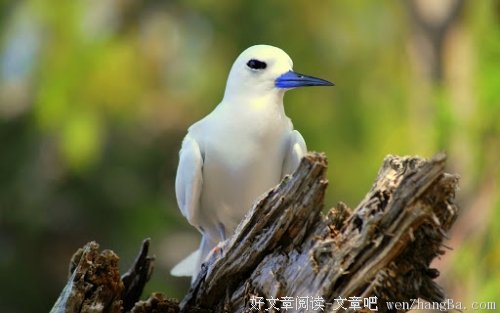 担忧洪水袭来