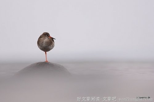 对不起我原谅不了我自己