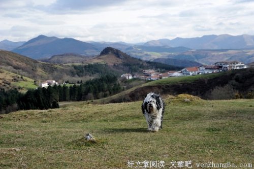 灵魂自会寻找方向