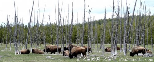 世界很美，我却无心欣赏