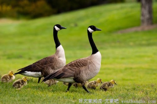理解是一种美丽