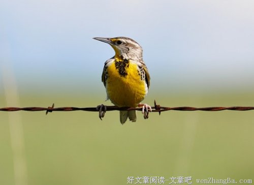 回忆如初