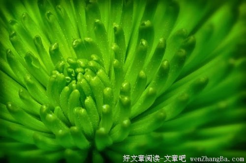 光