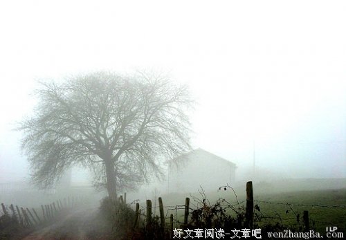 烟花易冷