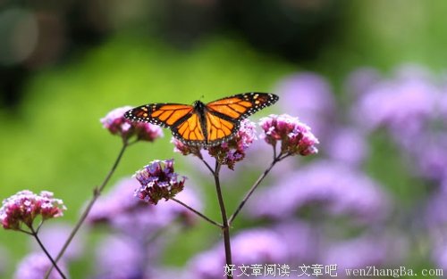 食勤蛋多