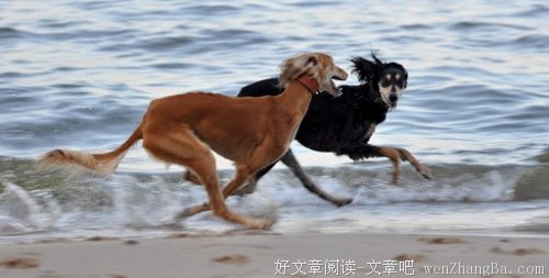 洗脚