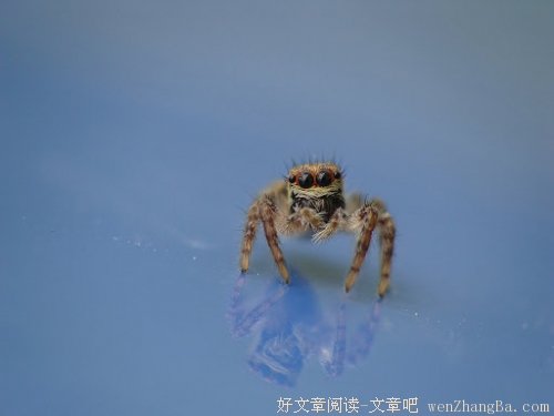 谢谢你的爱