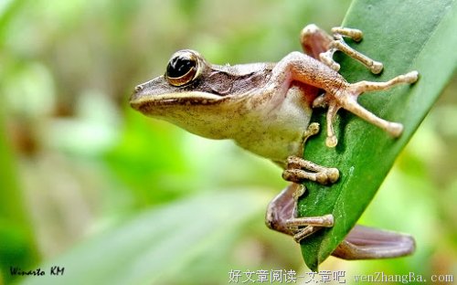 心静如水 现世安好