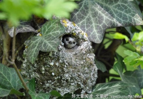 回家的感觉