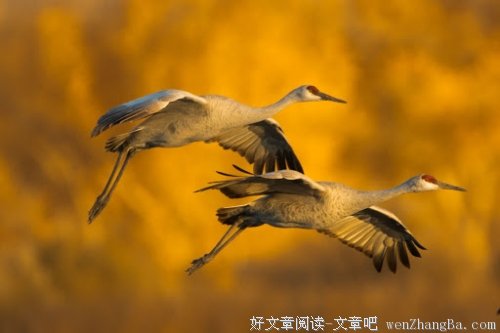 一个尴尬的年纪