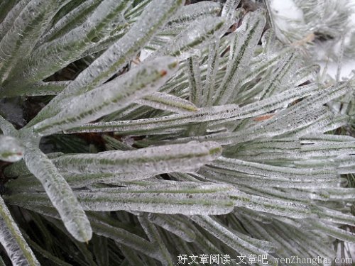 从明天起，我们变成了谁