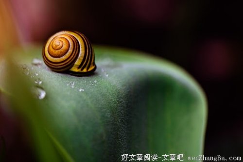 风曾来过我的眼