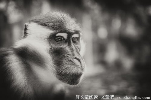幸福课堂