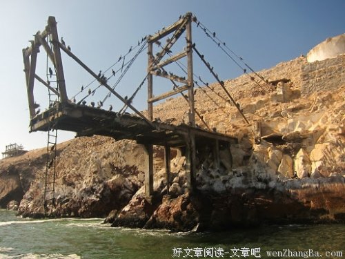 谁的青梅负了谁的竹马